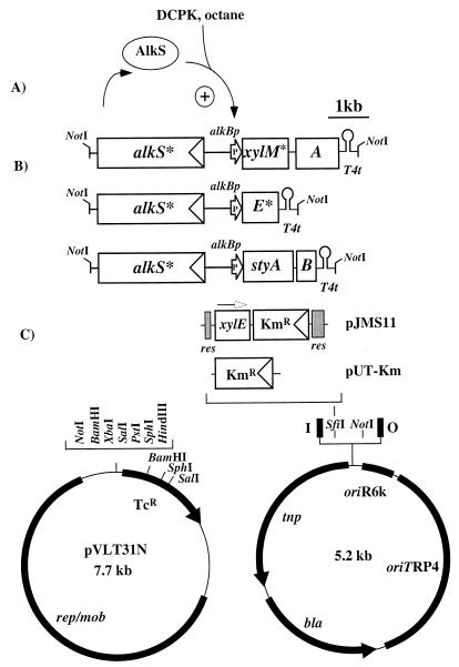 FIG. 1