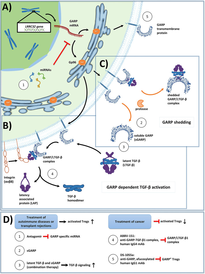 Figure 1