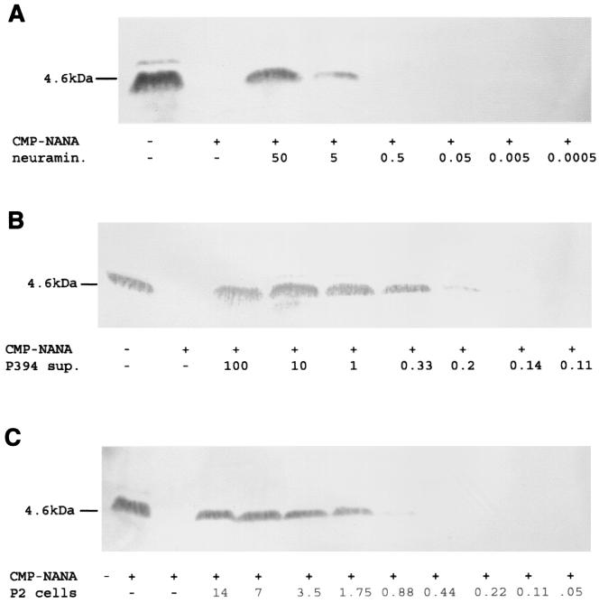 FIG. 3.