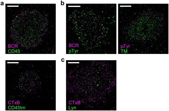 Figure 3—figure supplement 4.