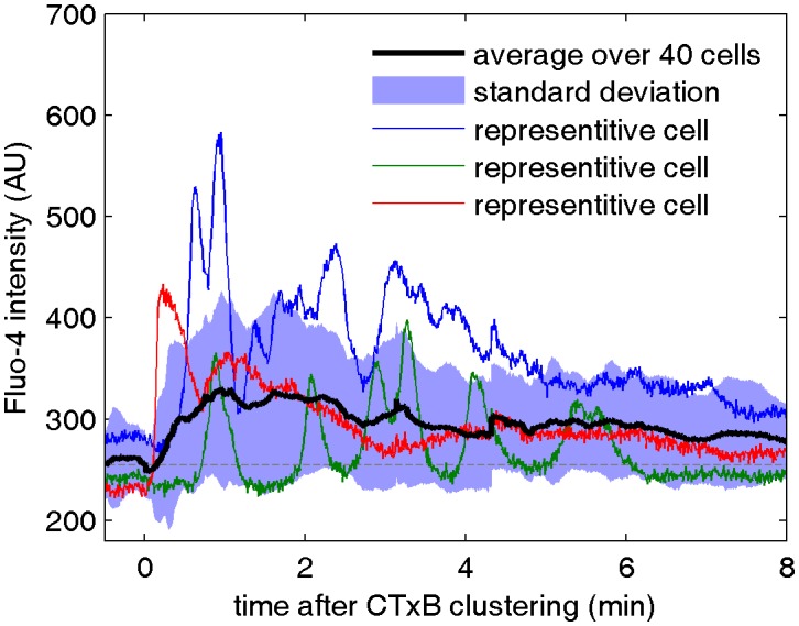 Figure 3—figure supplement 1.