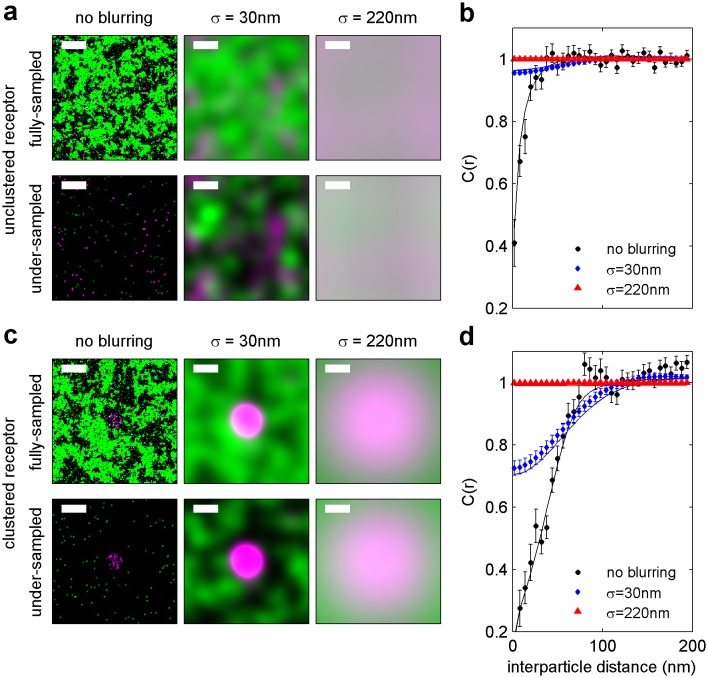 Figure 1—figure supplement 3.