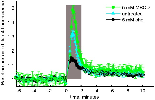 Figure 5—figure supplement 2.