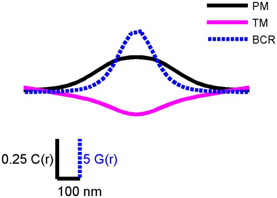 Figure 2—figure supplement 4.