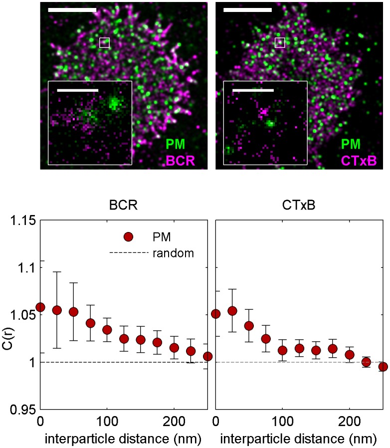 Figure 2—figure supplement 9.