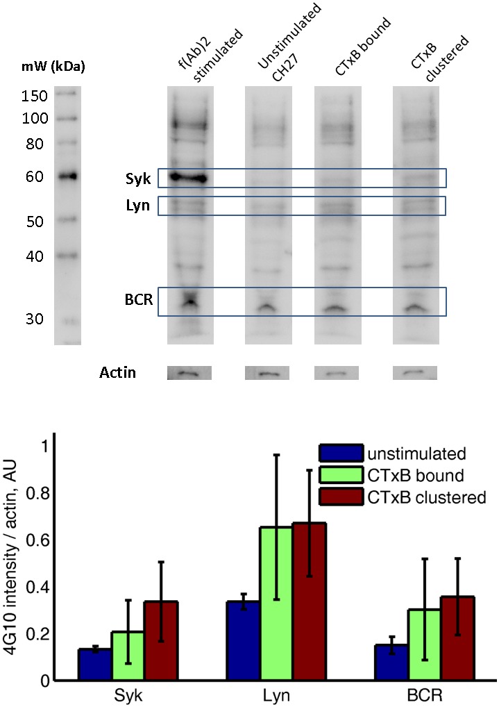 Figure 3—figure supplement 3.