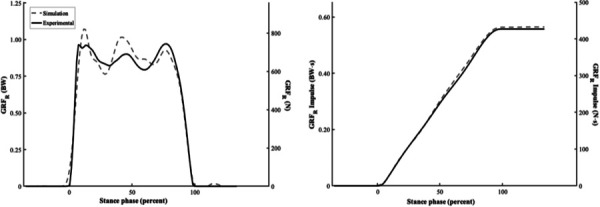 Optimized GRFR and GRFR impulse for a single trial at 66 mm fulcrum position