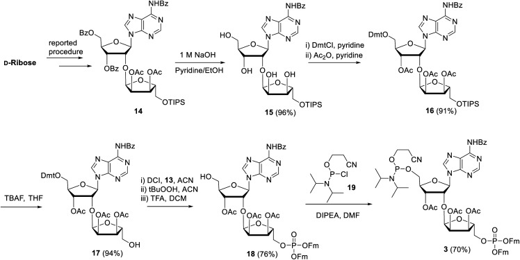 Scheme 2