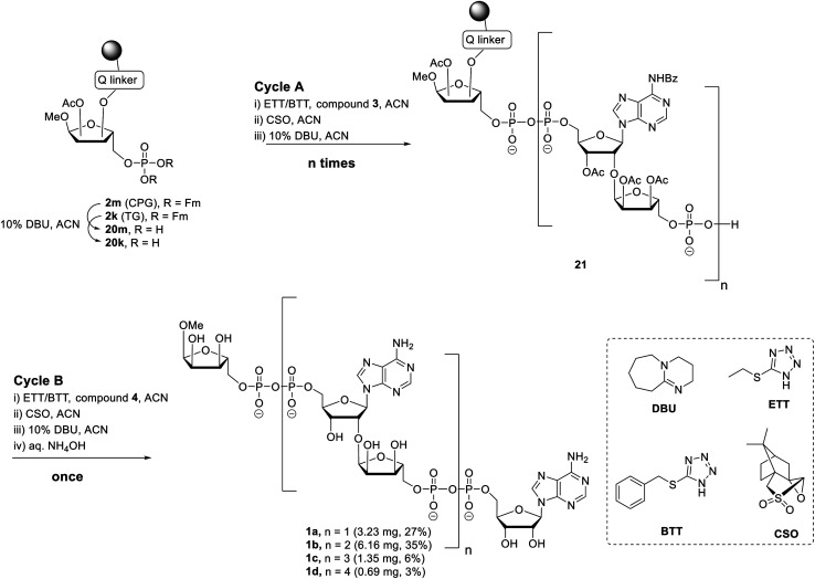 Scheme 3