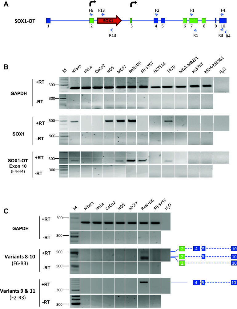 Fig. 7