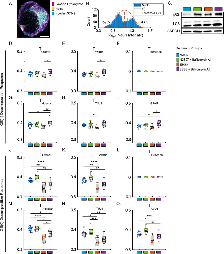 Universal high-throughput image quantification of subcellular structure ...