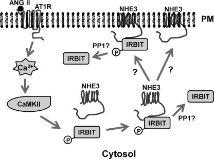 FIGURE 10.