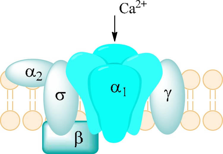 Fig. (23)