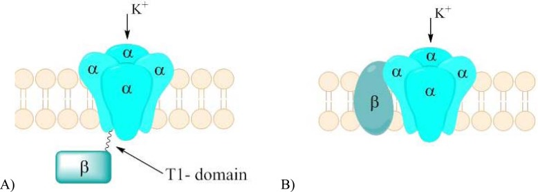 Fig. (19)