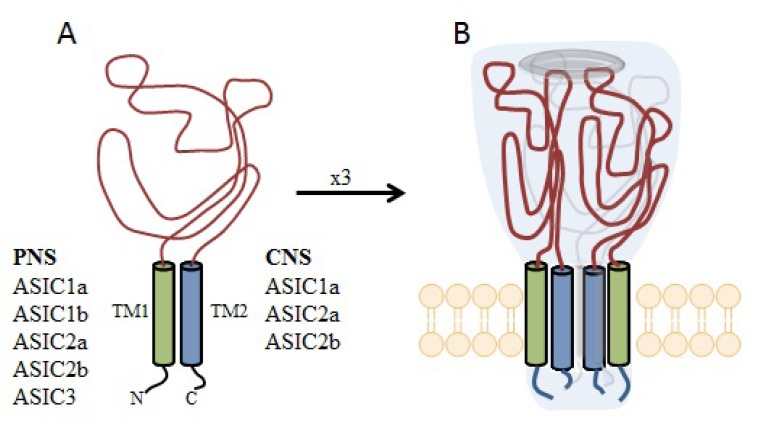 Fig. (51)