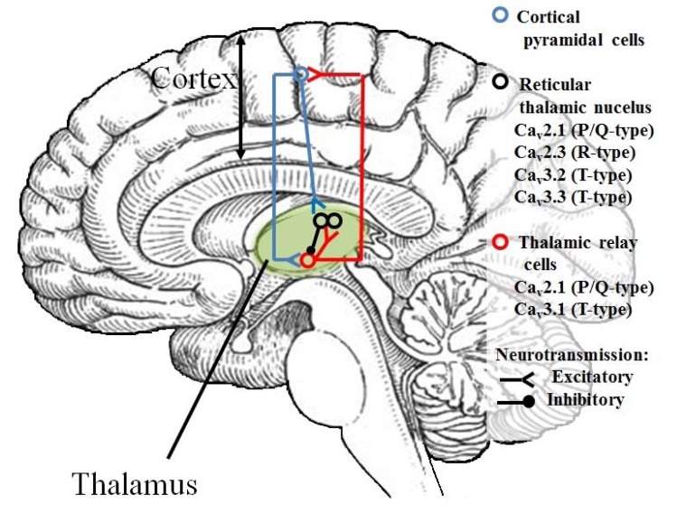 Fig. (26)