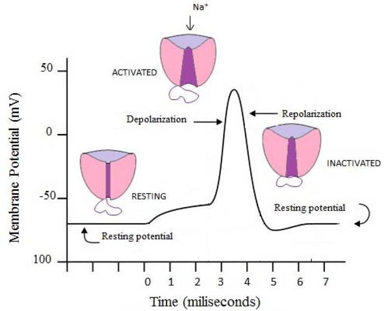 Fig. (3)