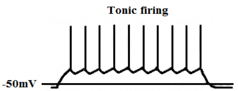 Fig. (24)