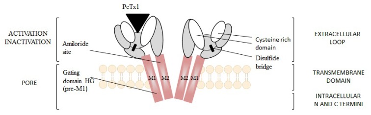 Fig. (58)