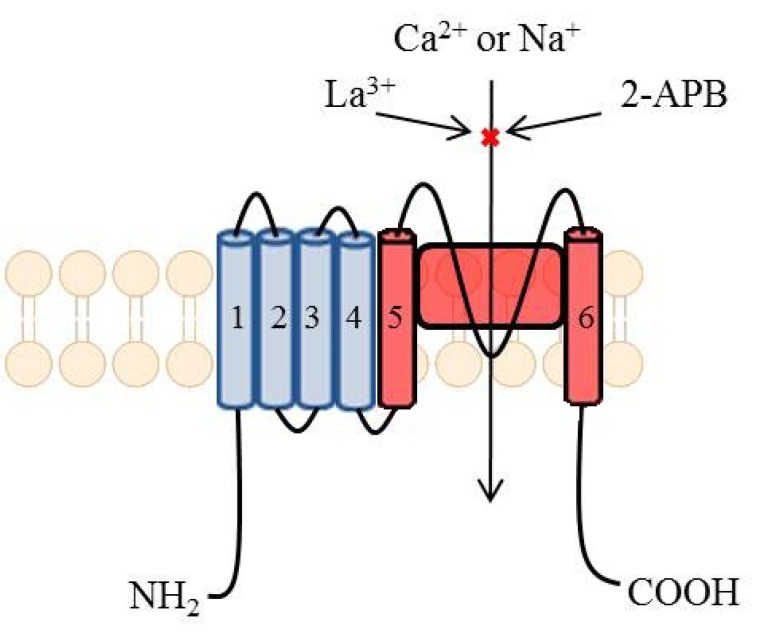 Fig. (59)