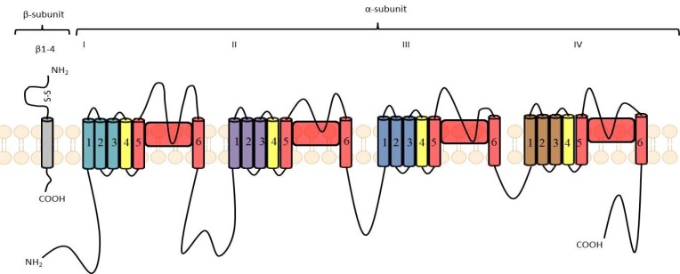 Fig. (2)