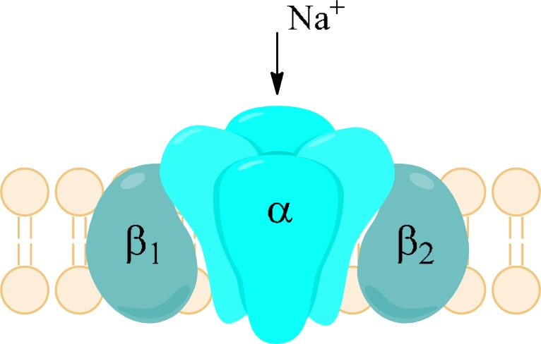 Fig. (1)