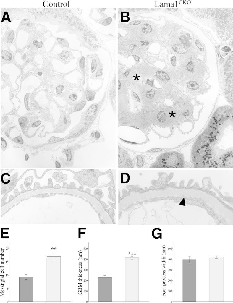 Figure 5