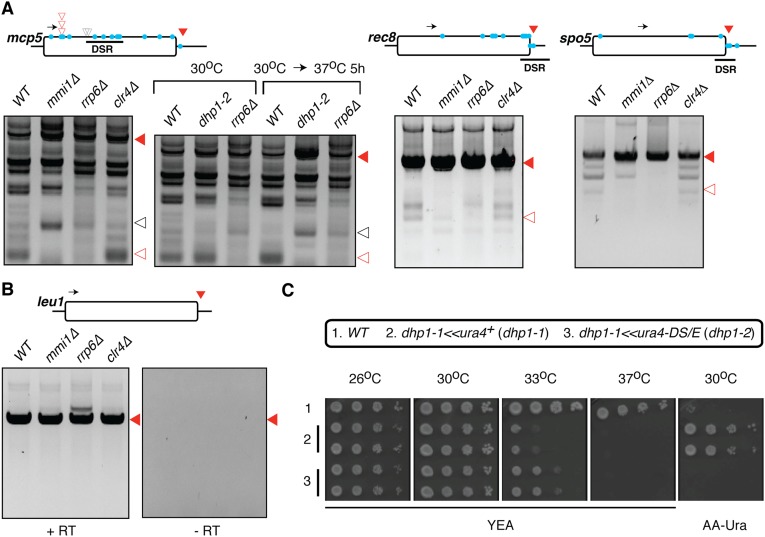 Fig. S1.