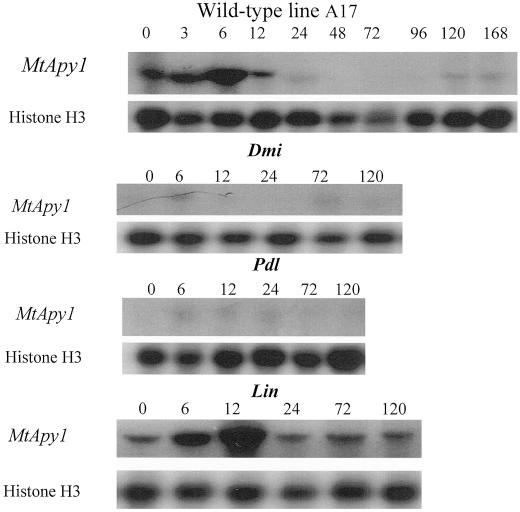 Figure 9