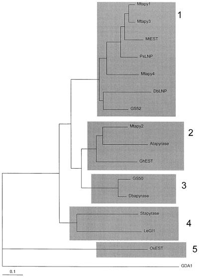 Figure 5