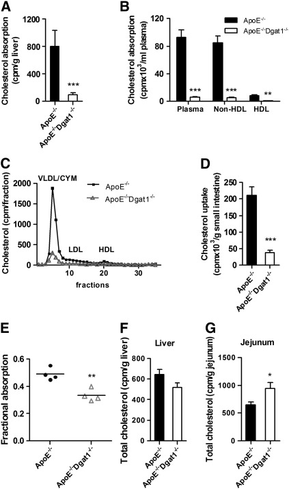 Fig. 6