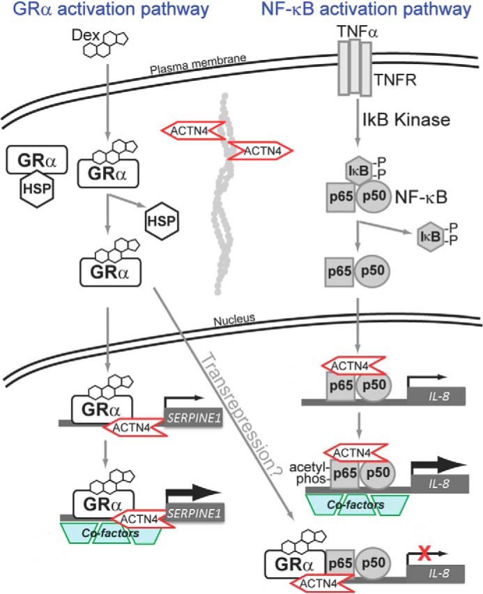 FIGURE 11.