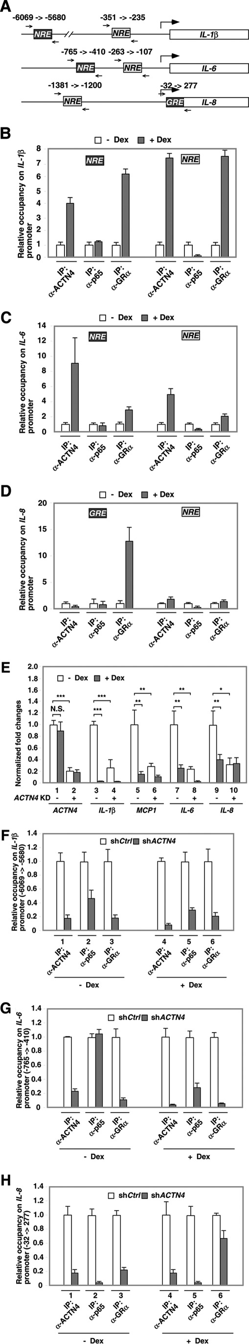 FIGURE 10.