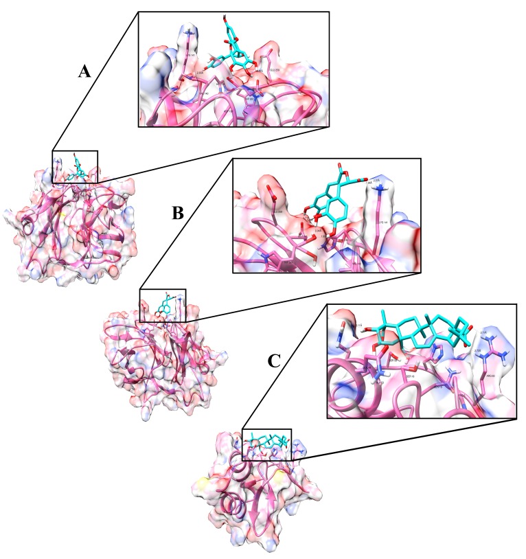 Figure 6. 