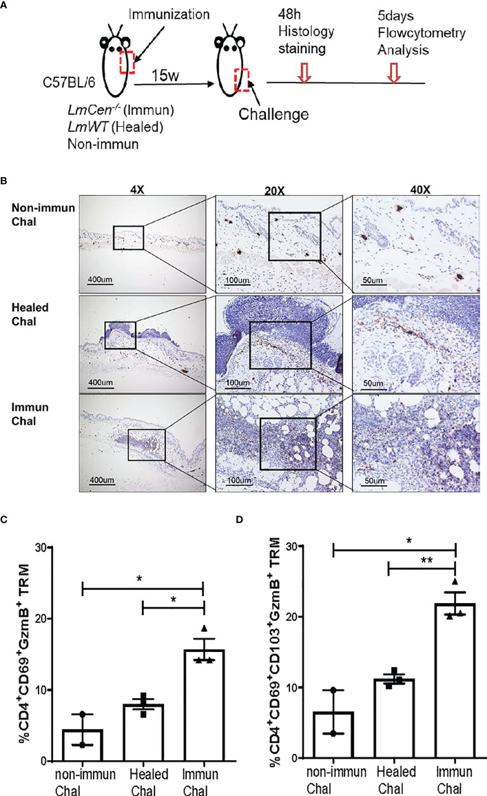 Figure 6