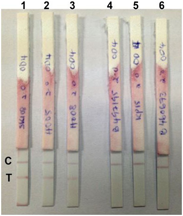 Figure 5.