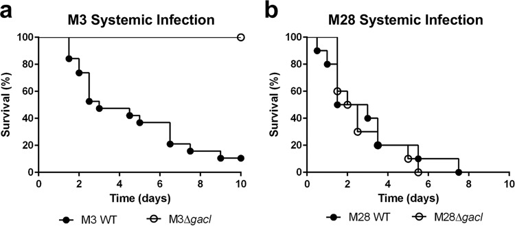 FIG 4 