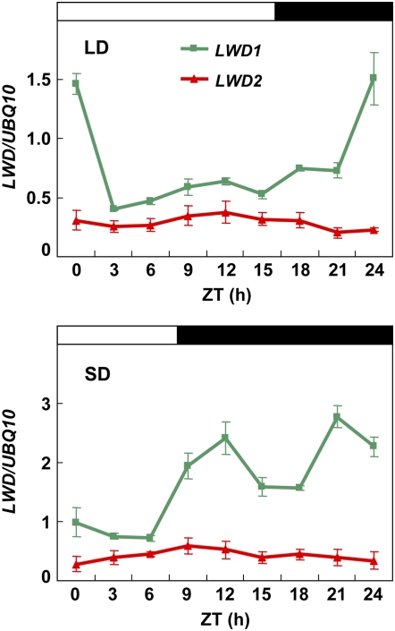 Figure 7.