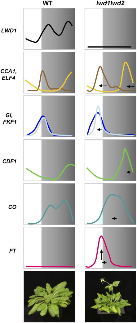 Figure 8.