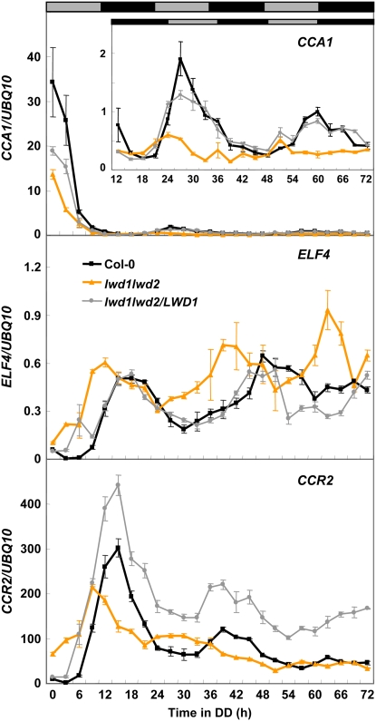 Figure 6.