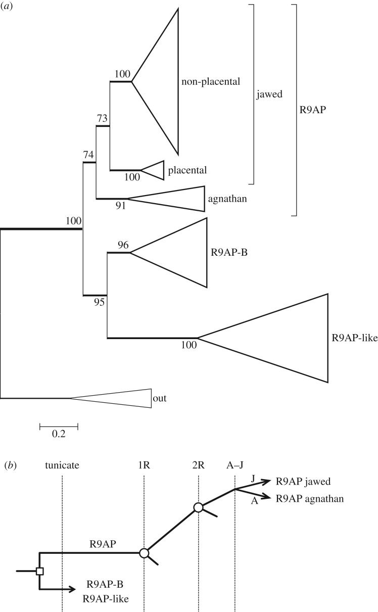 Figure 9.