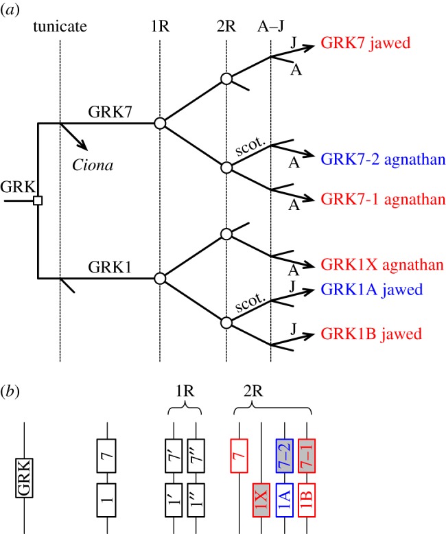 Figure 2.