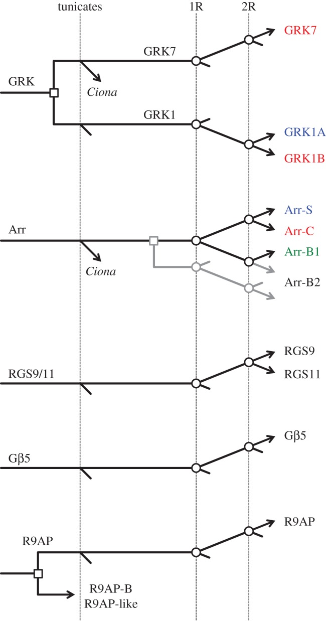 Figure 12.