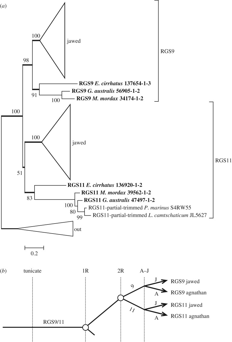 Figure 7.