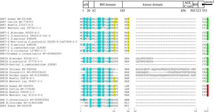 Figure 10.