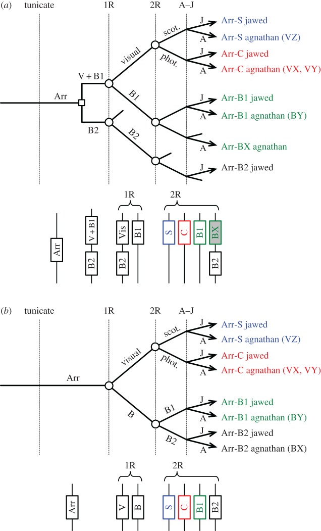 Figure 5.