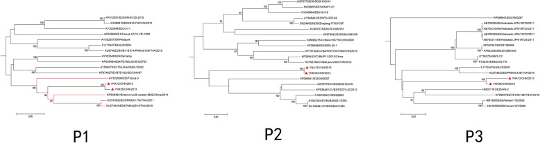 Fig. 2