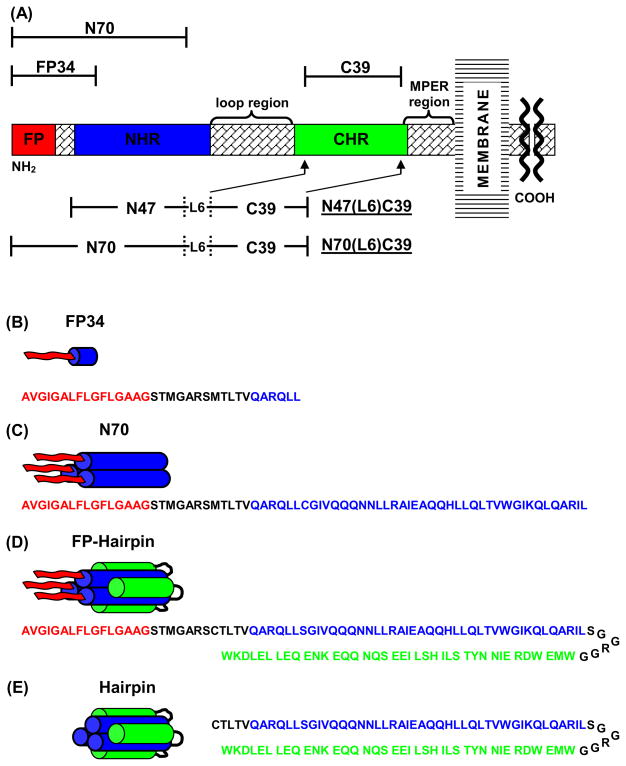 Fig. 2