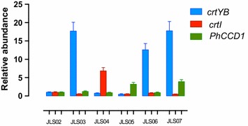 Figure 5