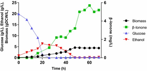 Figure 6